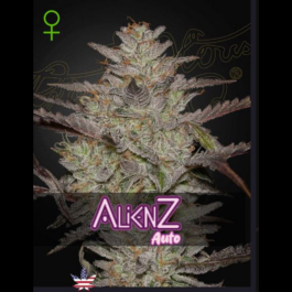 GHALZA03 - GREEN HOUSE SEED CO. - ALIENZ AUTO FEM | 3 SEMI