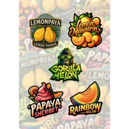 FBMXPF001 - FAST BUDS - MIX PACK FEM | 5 SEMI