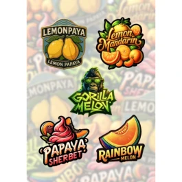 FBMXPF001 - FAST BUDS - MIX PACK FEM | 5 GRAINES