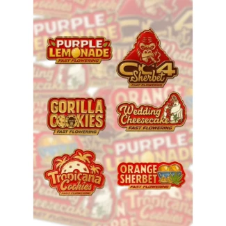 FBMXPFFF005 - FAST BUDS - MIX PACK FAST FLOWERING FEM | 5 SAMEN