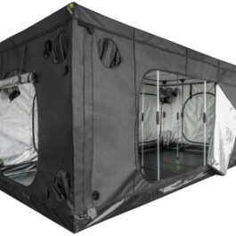 ELITEHC480L - MAMMOTH ELITE HC 480L 480X240X240CM H