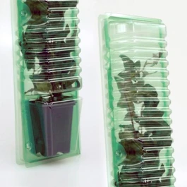 P13378 - BLISTER FÜR TRANSPORT UND VERSAND VON STECKLINGEN 1 TOPF 7X7X8CM H 33CM STAMMLOCH 4CM