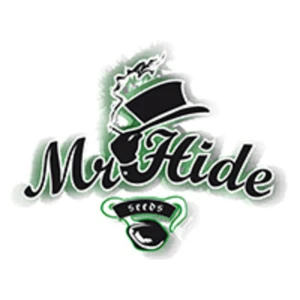 MRH03FMR420K - MR. HIDE SEEDS - Mr. 420K 3 SEEDS FEMM