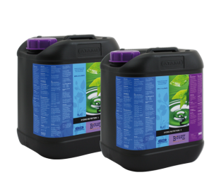 BHAB5 - HYDRO A+B 2X5L ATAMI B'CUZZ