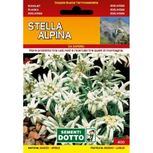 10100400 - STELLA ALPINA  SEMENTI DOTTO