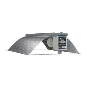 L1700-V - ROADRUNNER VEGA - RIFLESSIONE CRX 95% DIM. 500X420 MM