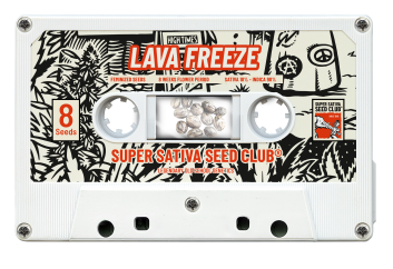 SSSC050502 - SUPER SATIVA SEED CLUB - LAVA FREEZE FEM | 5 SEMI