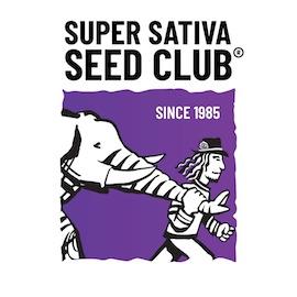 SSSC120302 - SUPER SATIVA SEED CLUB - KOSHER HAZE FEM | 3 SEMI