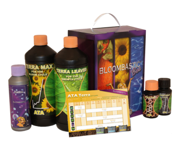 ATSK - ATA TERRA  BLOOMBASTIC BOX ATAMI B'CUZZ