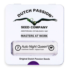 DP8172 - DUTCH PASSION - AUTO NIGHT QUEEN® FEM | 7 SEMI