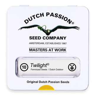 DP0702 - DUTCH PASSION - TWILIGHT FEM | 10 SEMI - Disponibile fino a fine scorte