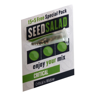 SEX02415PIP - SEEDSALAD - CRITICAL FEM | 15+5 SEMI GRATIS