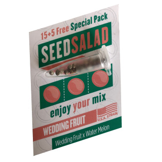 SEX03515PIP - SEEDSALAD - WEDDING FRUIT FEM (USA STRAIN) | 15+5 SEMI GRATIS