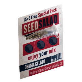 SEX03615PIP - SEEDSALAD - OBAMA GELATO FEM (USA STRAIN) | 15+5 SEMI GRATIS