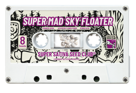 SSSC110302 - SUPER SATIVA SEED CLUB - SUPER MAD SKY FLOATER FEM | 3 SEMI