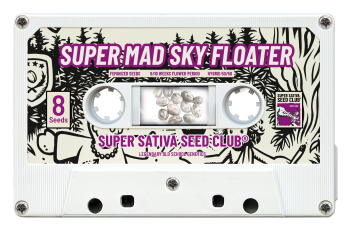 SSSC11081 - SUPER SATIVA SEED CLUB - SUPER MAD SKY FLOATER FEM | 8 SEMI Disponibili fino a fine scorte