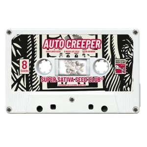 SSSC070302 - SUPER SATIVA SEED CLUB - AUTO CREEPER FEM | 3 SAMEN