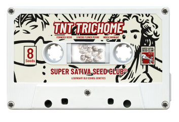 SSSC100502 - SUPER SATIVA SEED CLUB - TNT TRICHOME FEM | 5 SEMI