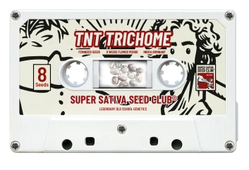 SSSC100502 - SUPER SATIVA SEED CLUB - TNT TRICHOME FEM | 5 SAMEN