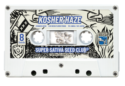 SSSC121201 - SUPER SATIVA SEED CLUB - KOSHER HAZE REG | 12 SEMI