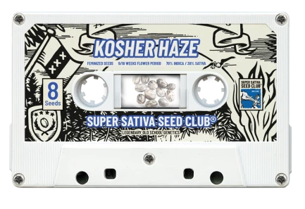 SSSC121201 - SUPER SATIVA SEED CLUB - KOSHER HAZE REG | 12 SEMI