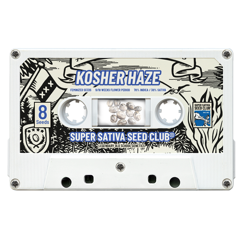 SSSC121201 - SUPER SATIVA SEED CLUB - KOSHER HAZE REG | 12 SEMI