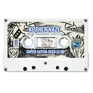 SSSC121201 - SUPER SATIVA SEED CLUB - KOSHER HAZE REG | 12 SEMI