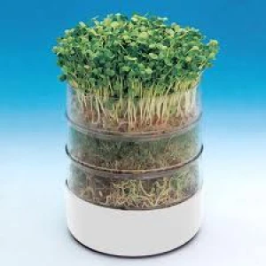 BIOS - BIOSET SEED GERMINATOR