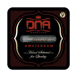 DNAFEM3007 - DNA GENETICS - DJ'S GOLD FEM | 3 SEMI