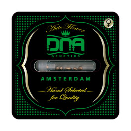 DNAAUT60LEM6 - DNA GENETICS - 60 DAY LEMON AUTO FEM | 6 SEMI