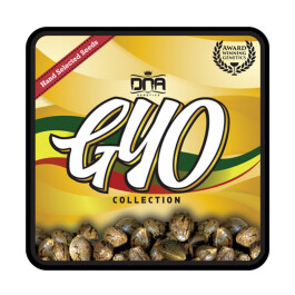 GYOFEM3007 - GROW YOUR OWN - R.K.S. FEM | 3 SEMI