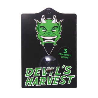 DHFA000103 - DEVIL'S HARVEST - FALLEN ANGEL FEM | 3 SEEDS