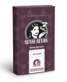 SS1560329 - SENSI SEEDS BANK - BLACK HARLEQUIN FEM | 3 SEMI Disponibili fino a fine scorte