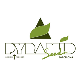 PYRS01F9001 - PYRAMID SEEDS - TUTANKHAMON FEM | 1 SEME