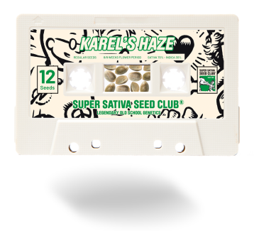 SSSC021201 - SUPER SATIVA SEED CLUB - KAREL'S HAZE REG | 12 SEMI
