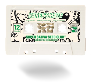 SSSC021201 - SUPER SATIVA SEED CLUB - KAREL'S HAZE REG | 12 SEMI