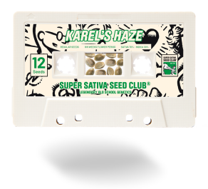 SSSC021201 - SUPER SATIVA SEED CLUB - KAREL'S HAZE REG | 12 SEMI