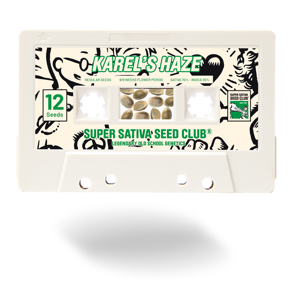 SSSC021201 - SUPER SATIVA SEED CLUB - KAREL'S HAZE REG | 12 SEMI