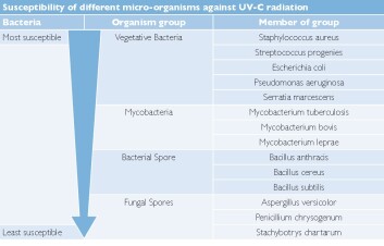 W110040 - LAMPADA UVC DI RICAMBIO PER WATER PURIFIER 40W