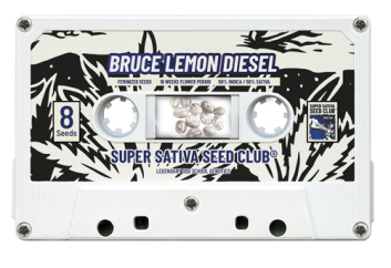 SSSC190802 - SUPER SATIVA SEED CLUB - BRUCE LEMON DIESEL FEM | 8 SEMI Disponibili fino a fine scorte