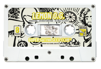 SSSC130802 - SUPER SATIVA SEED CLUB - LEMON OG FEM | 8 SEMI Disponibili fino a fine scorte