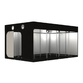 SECRET JARDIN - INTENSE R4.0