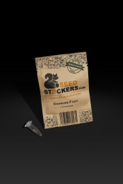 SSTKF0025032 - SEEDSTOCKERS - COOKIES FAST FEM | 25 SEMI