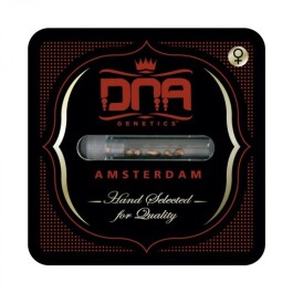 DNAFEM621 - DNA GENETICS - CATARACT CAKE FEM | 6 SEMI