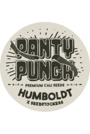 SSTKHF0025066 - SEEDSTOCKERS - PANTY PUNCH FEM (SUPERIOR) | 25 GRAINES