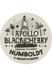 SSTKHF0001058 - SEEDSTOCKERS - APOLLO BLACK CHERRY AUTO FEM (SUPERIOR) | 1 SEME