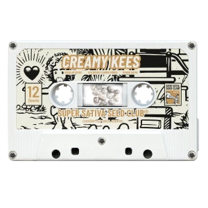 SSSC081201 - SUPER SATIVA SEED CLUB - CREAMY KEES REG | 12 SEMI