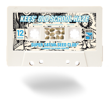 SSSC011201 - SUPER SATIVA SEED CLUB - KEES' OLD SCHOOL HAZE REG | 12 SEMI