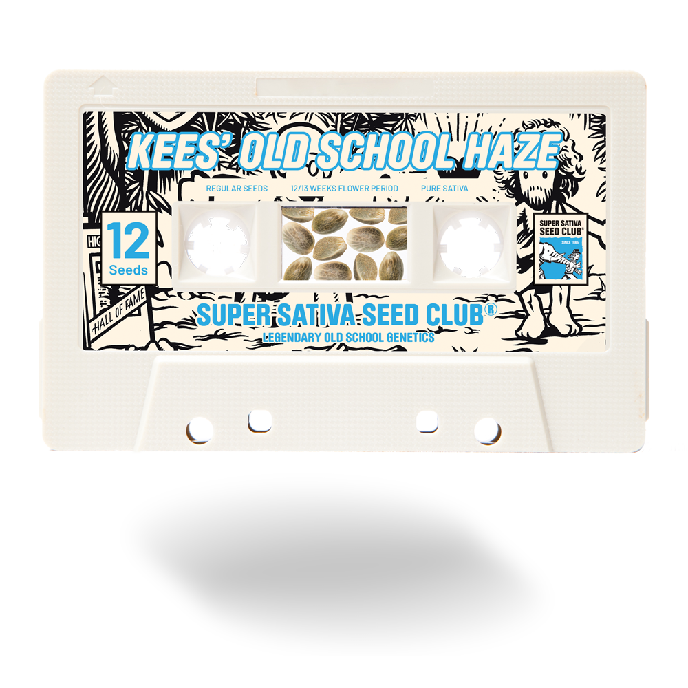 SSSC011201 - SUPER SATIVA SEED CLUB - KEES' OLD SCHOOL HAZE REG | 12 SEMI
