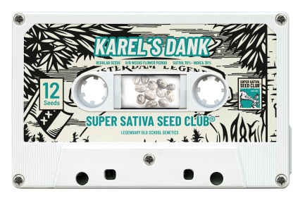 SSSC091201 - SUPER SATIVA SEED CLUB - KAREL'S DANK REG | 12 SEMI